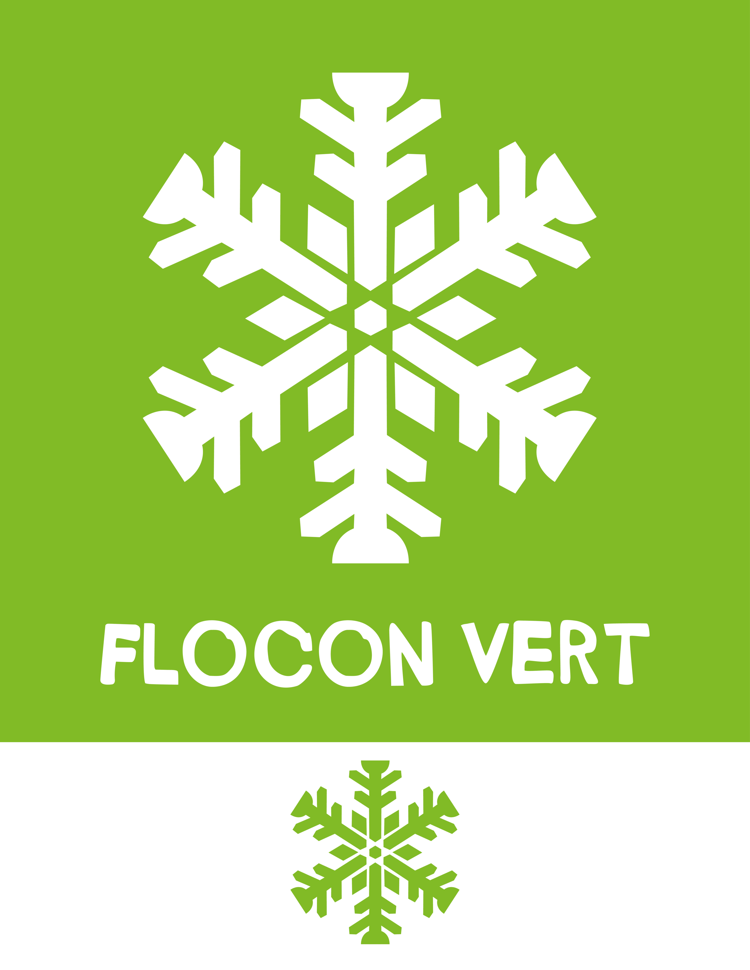 Logo_Flocon-vert_1-flocon