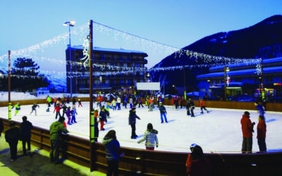 AGENT D’EXPLOITATION ET DE MAINTENANCE DE LA PATINOIRE (H/F)