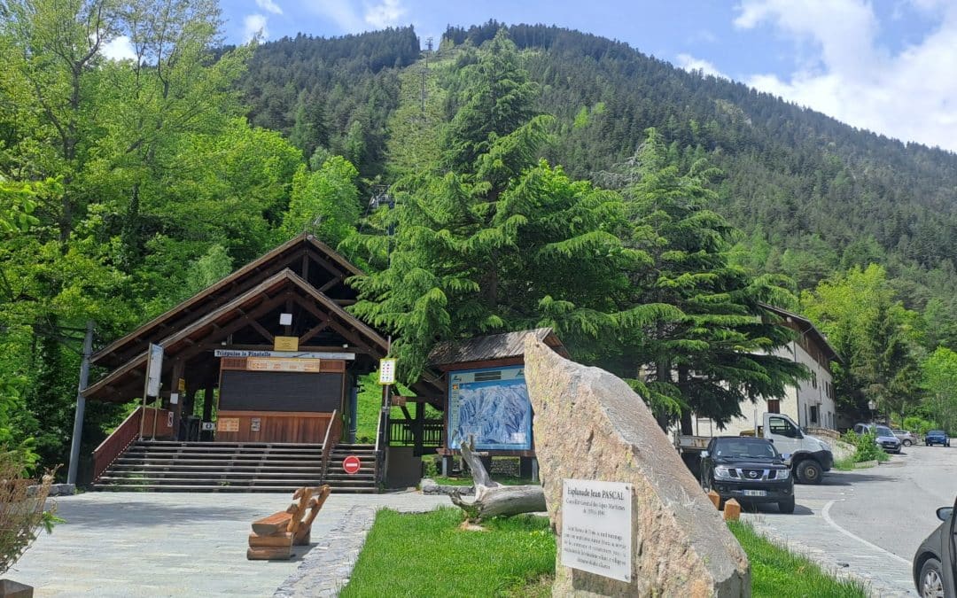 La forêt et le Télécabine de la Pinatelle