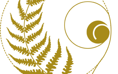 MASSAGE ET CONSEIL EN BIEN ÊTRE